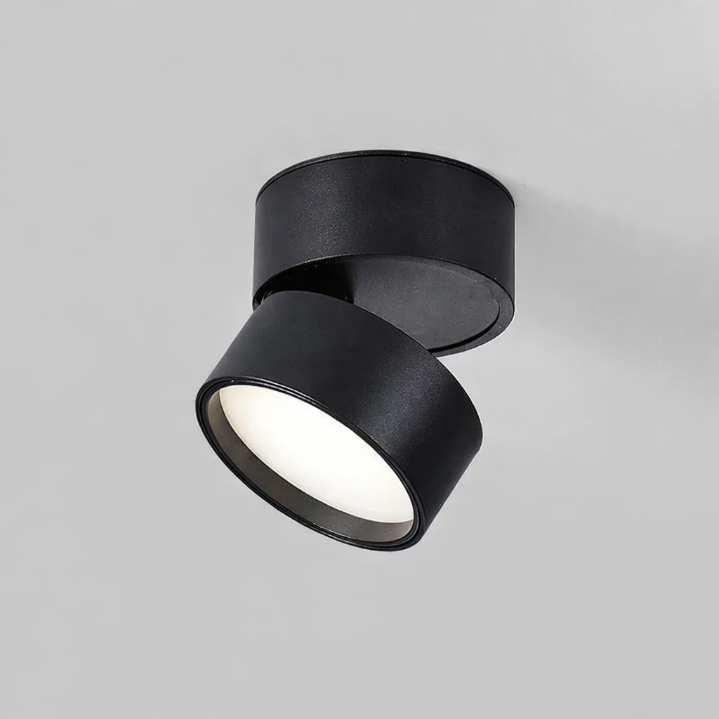 Modern Adjustable LED Ceiling Light with Rotating Head