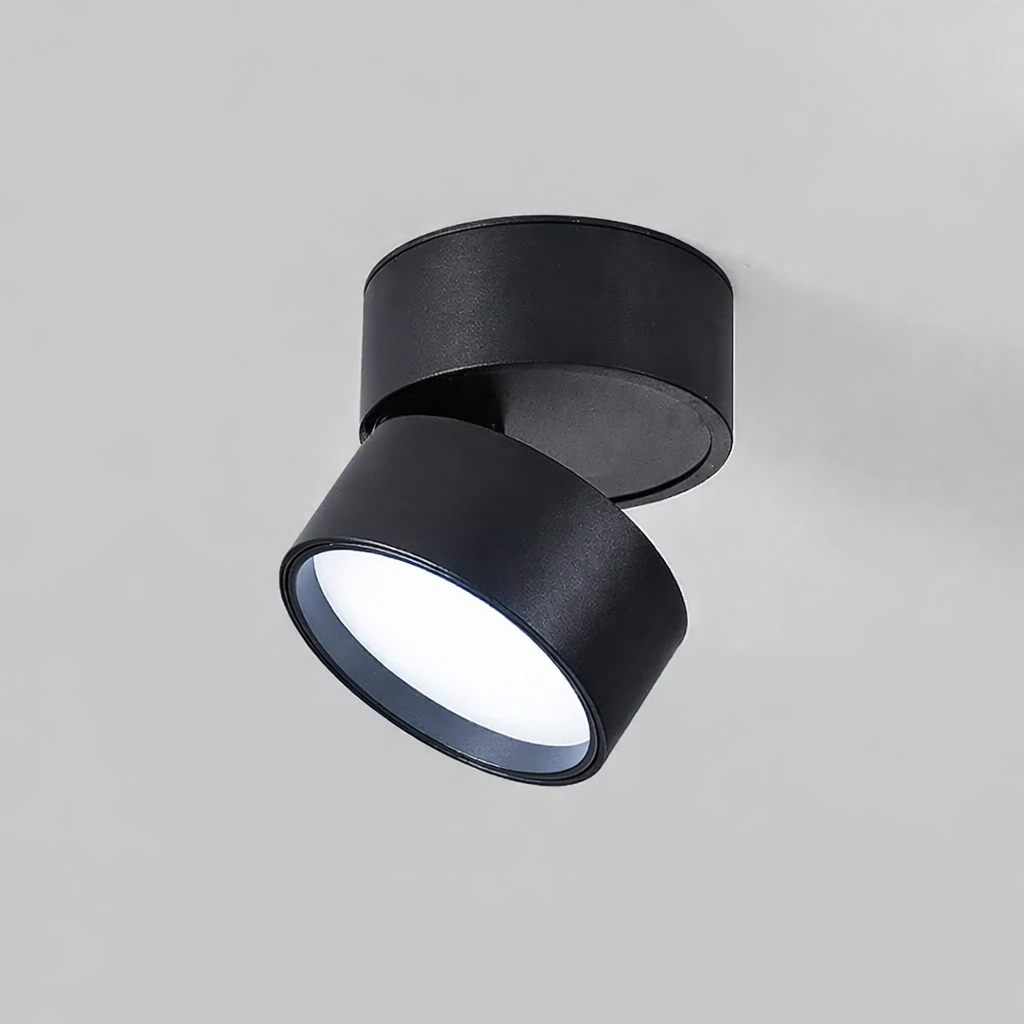 Modern Adjustable LED Ceiling Light with Rotating Head