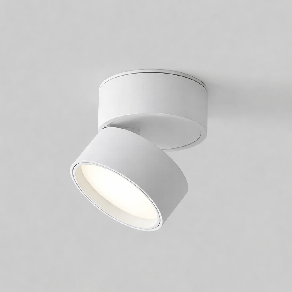 Modern Adjustable LED Ceiling Light with Rotating Head
