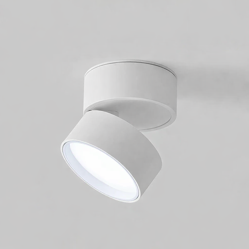 Modern Adjustable LED Ceiling Light with Rotating Head