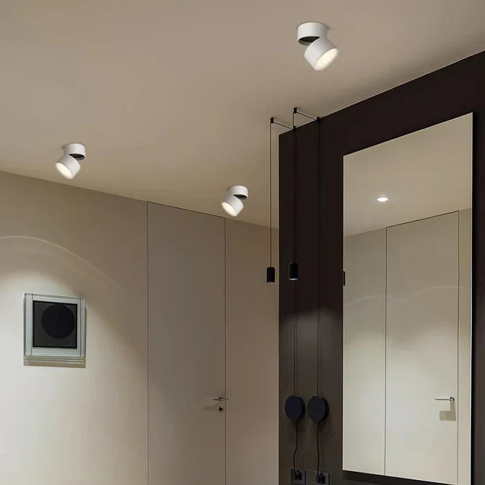 Modern Adjustable LED Ceiling Light with Rotating Head