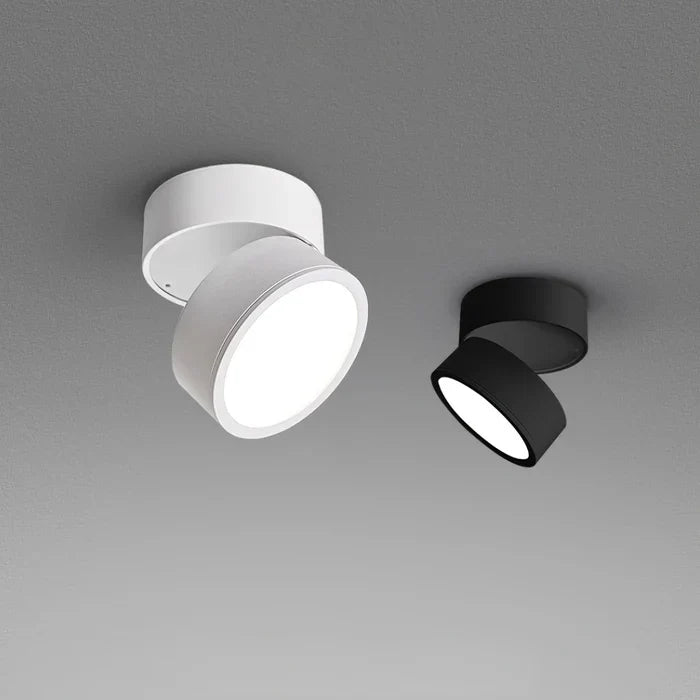 Modern Adjustable LED Ceiling Light with Rotating Head
