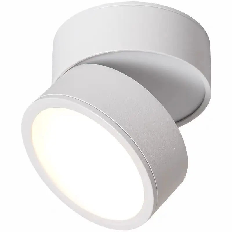 Modern Adjustable LED Ceiling Light with Rotating Head