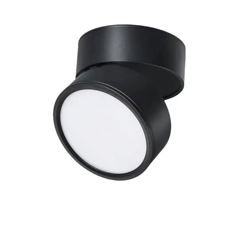 Modern Adjustable LED Ceiling Light with Rotating Head