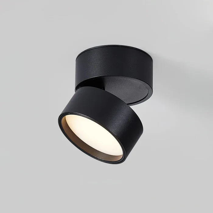 Modern Adjustable LED Ceiling Light with Rotating Head
