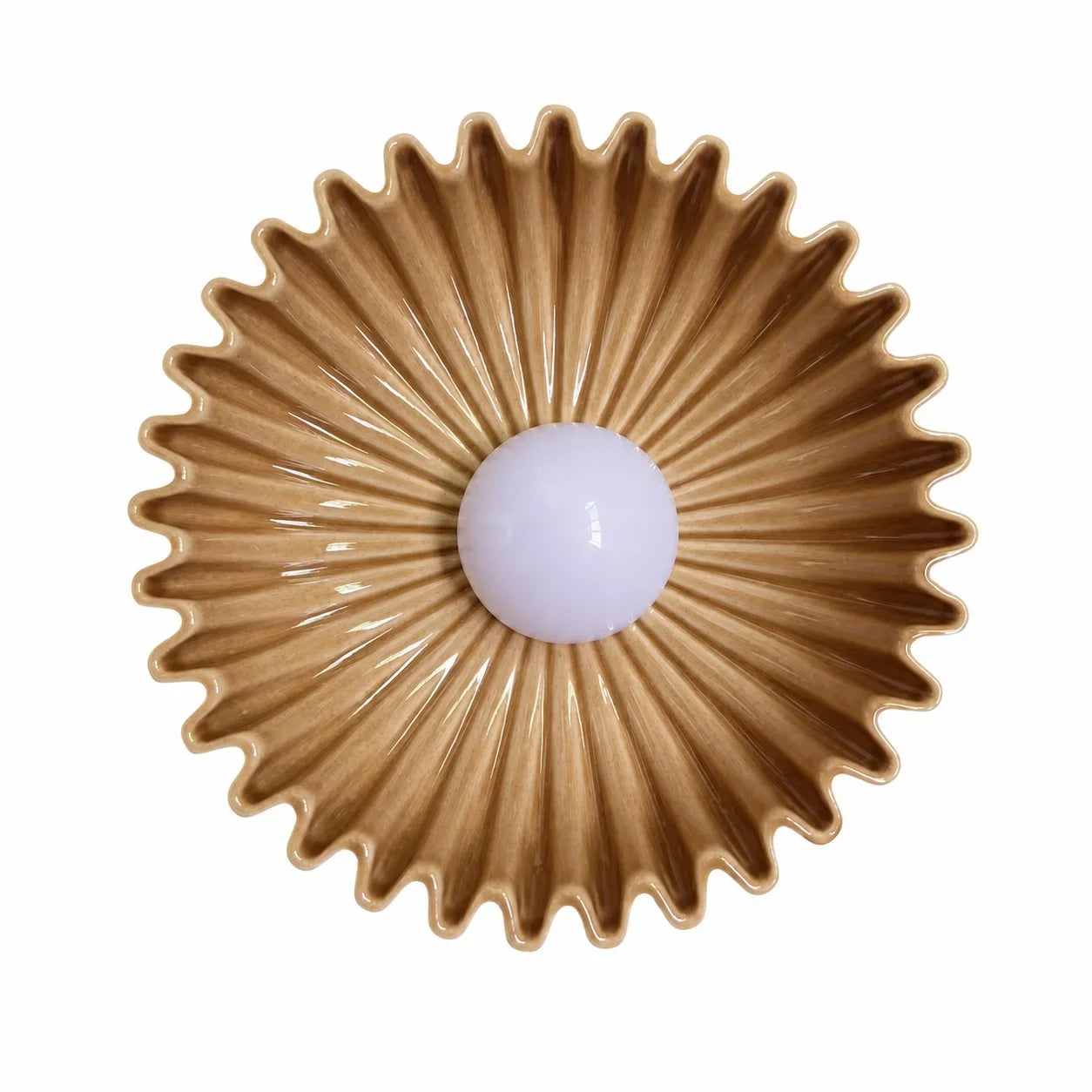 Modern Ceramic Flower Wall Light with Warm LED Glow
