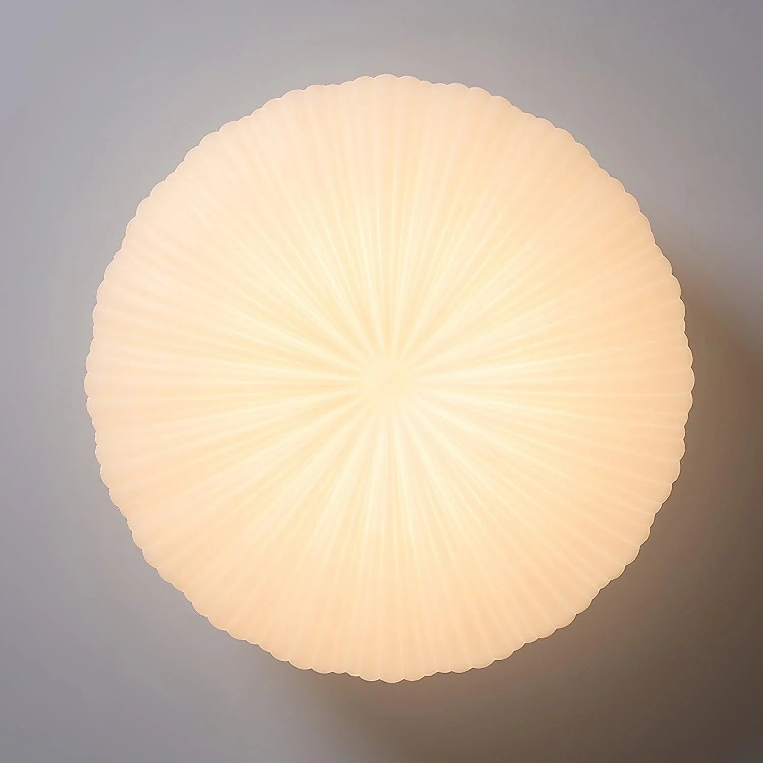 Japandi Dome Ceiling Light with Shell-Inspired Pleated Design