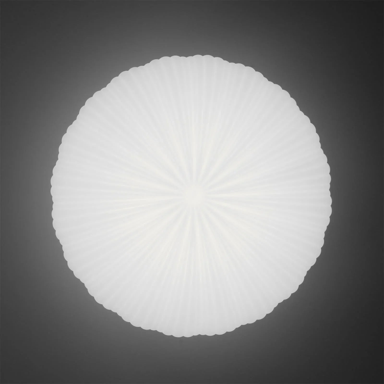 Japandi Dome Ceiling Light with Shell-Inspired Pleated Design
