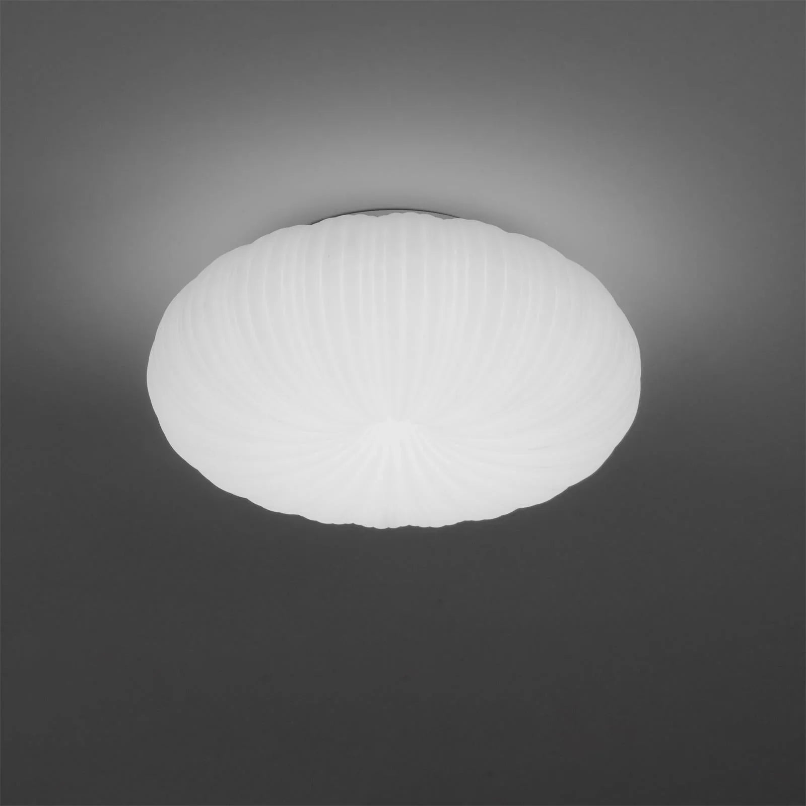 Japandi Dome Ceiling Light with Shell-Inspired Pleated Design
