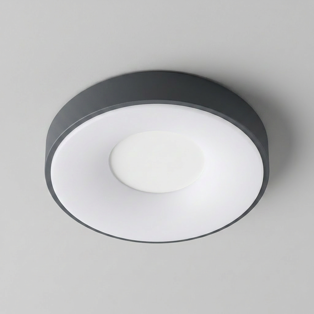 Modern Round LED Ceiling Light with Adjustable Color Temperature and Minimalist Design