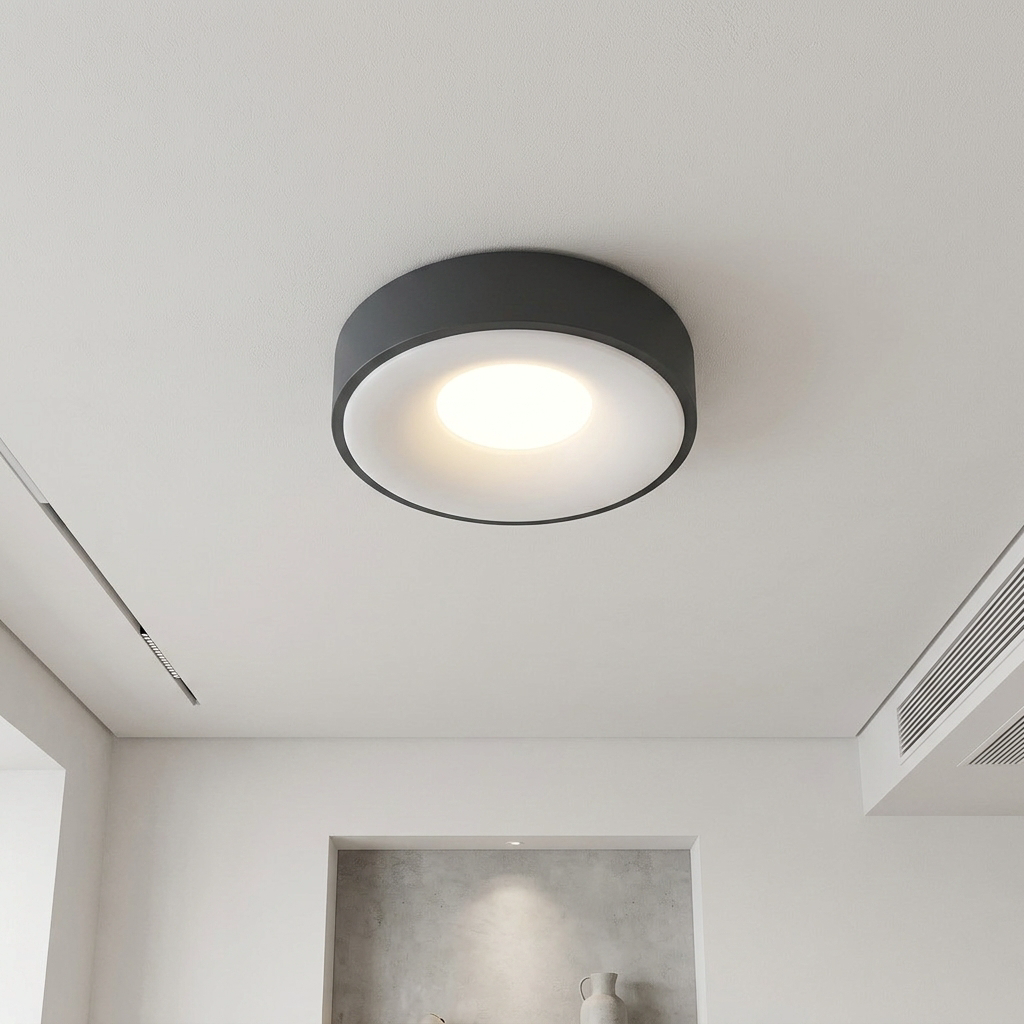 Modern Round LED Ceiling Light with Adjustable Color Temperature and Minimalist Design