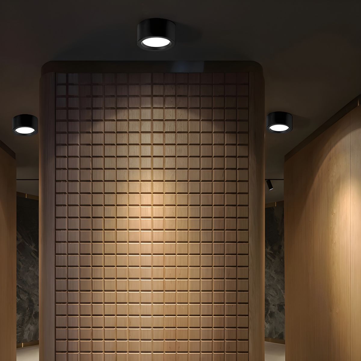 Nordic LED Ceiling Light