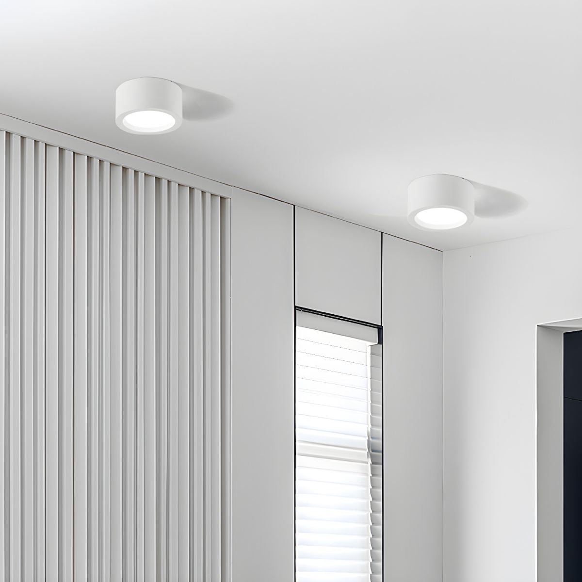 Nordic LED Ceiling Light