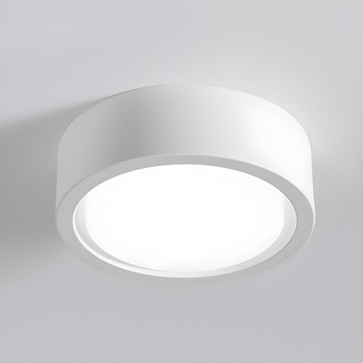 Nordic LED Ceiling Light