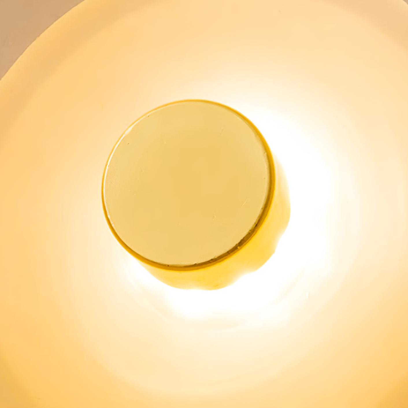 Organic Glass Wall Lamp with Integrated Warm LED