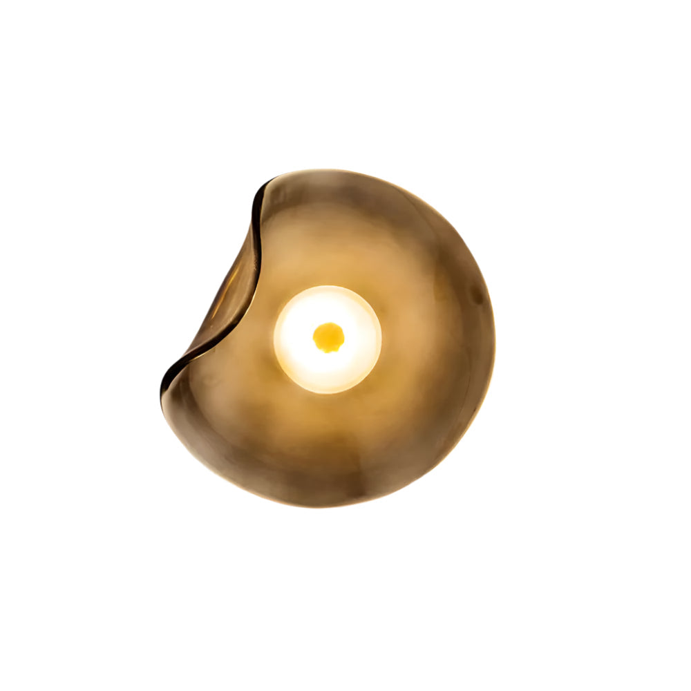 Organic Glass Wall Lamp with Integrated Warm LED
