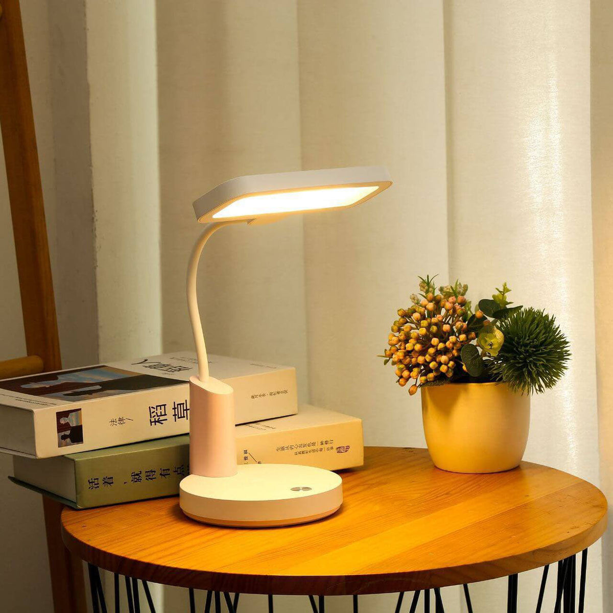 Portable LED Desk Lamp