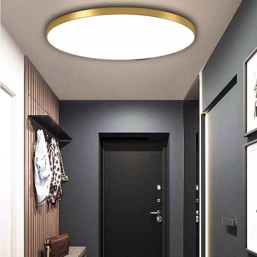 Slim Flush-Mount Acrylic Panel