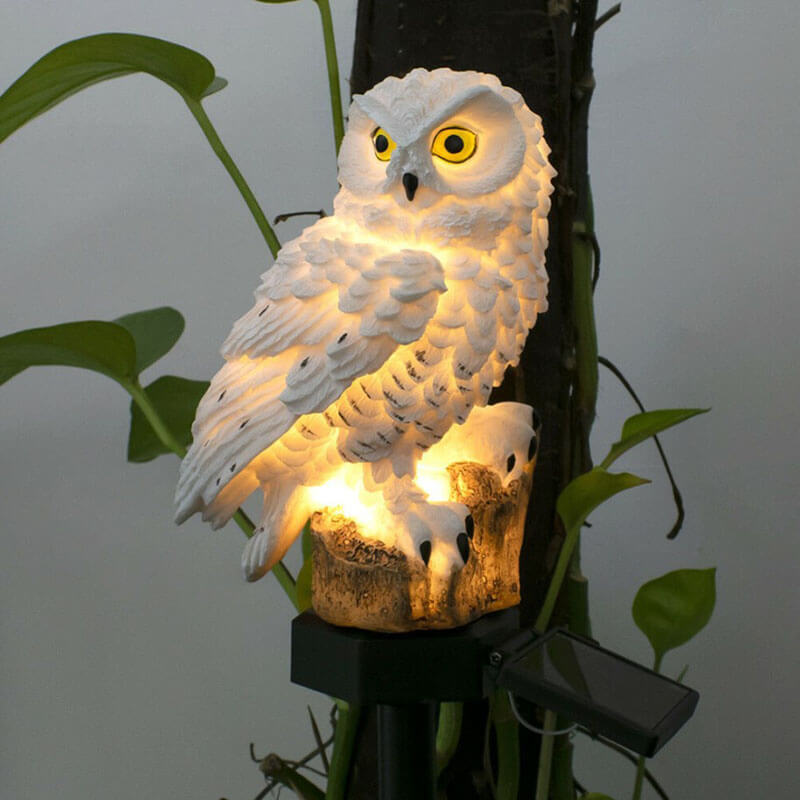 Solar Wireless Outdoor Light