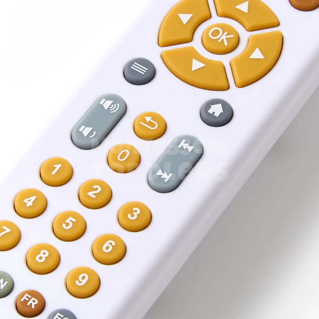 Talking Toy Remote Control