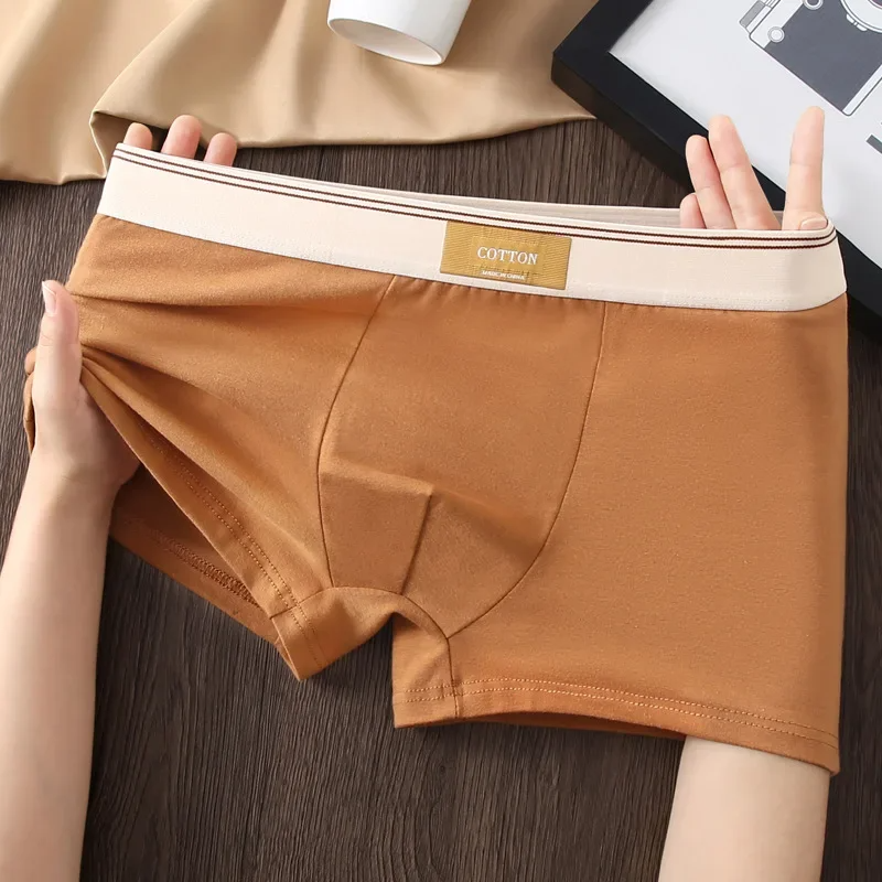 Men's Plain Boxer Briefs with Wide Waistband