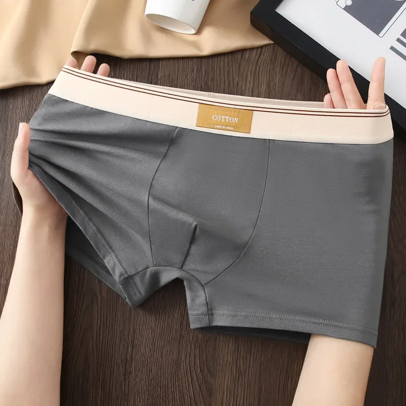 Men's Plain Boxer Briefs with Wide Waistband
