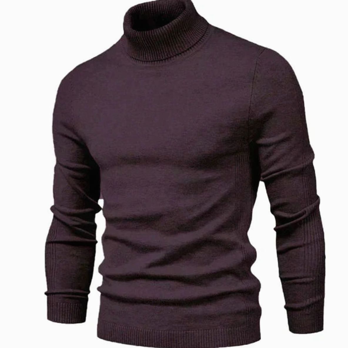 Men's Slim Fit Fine Knit Roll Neck Jumper