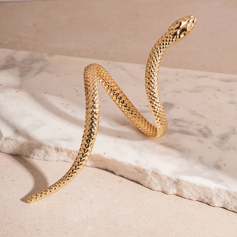 Women's Serpent Cuff Bracelet and Ring Set